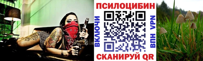 MEGA зеркало  Красноперекопск  Галлюциногенные грибы Cubensis 